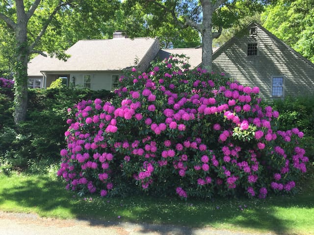 lovely cape in Cummaquid Cape Cod
