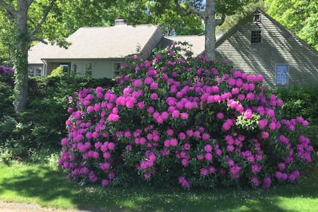 lovely cape in Cummaquid Cape Cod