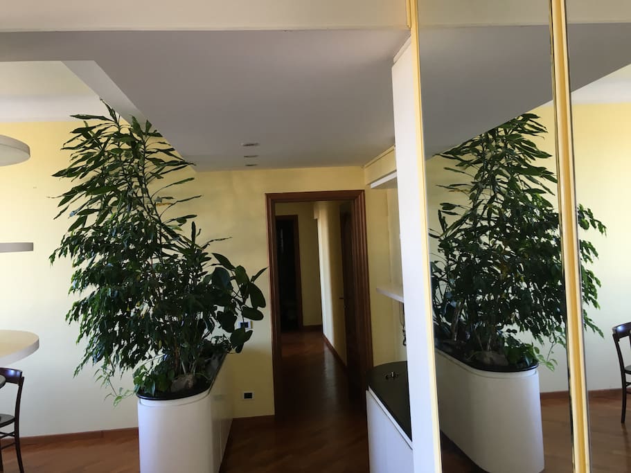 Ingresso / Sala