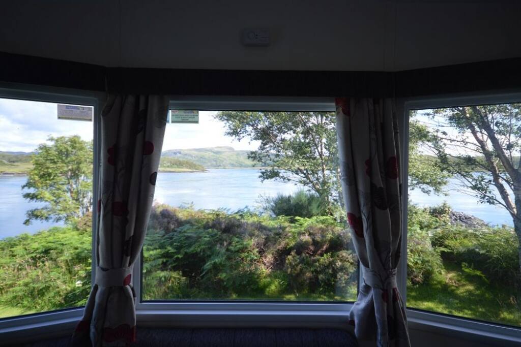 View from Birches