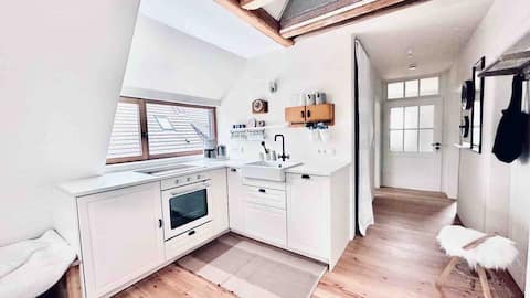 Gallery apartment with ambiance plus sauna