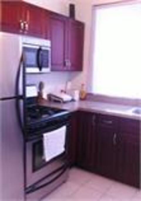 Fully furnished kitchen with refrigerator with filter, gas stove