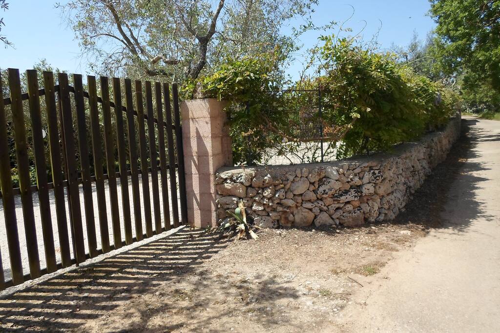 strada di accesso alla struttura