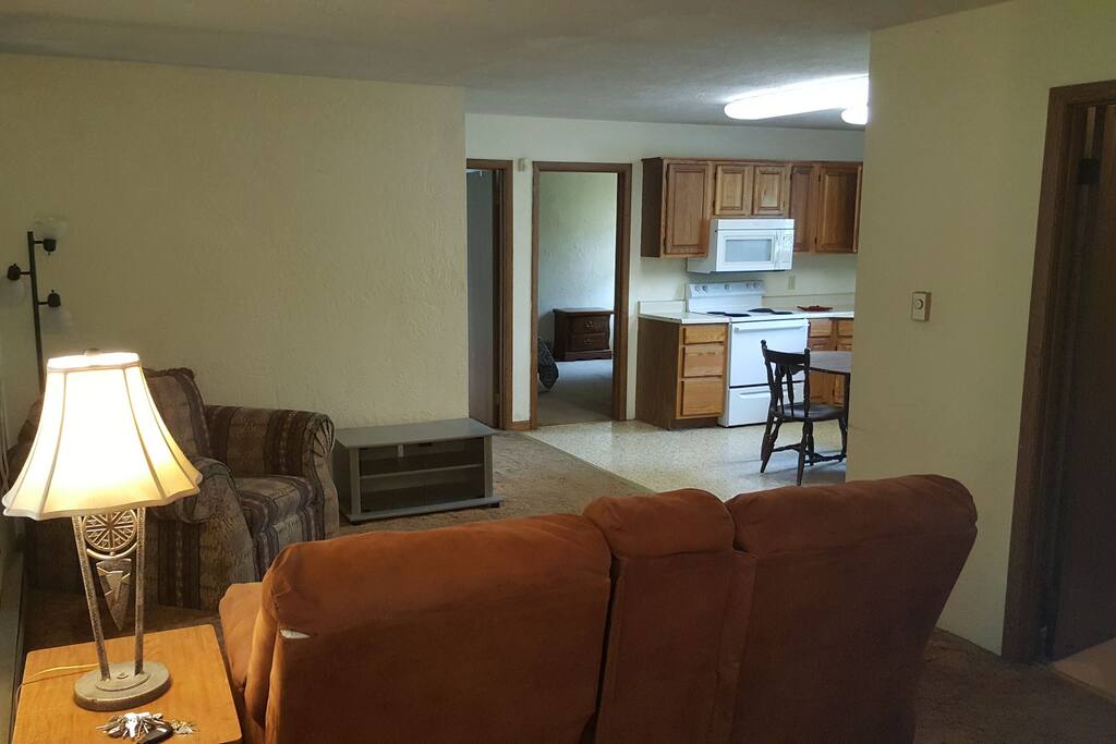 Open living room and kitchen