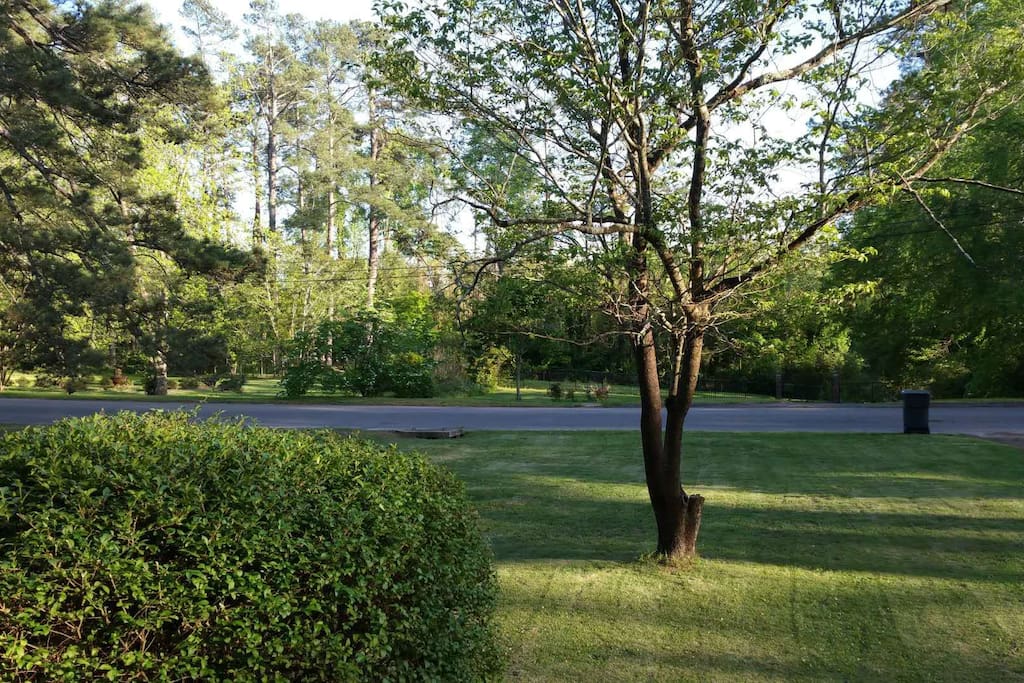 View of front yard from front door