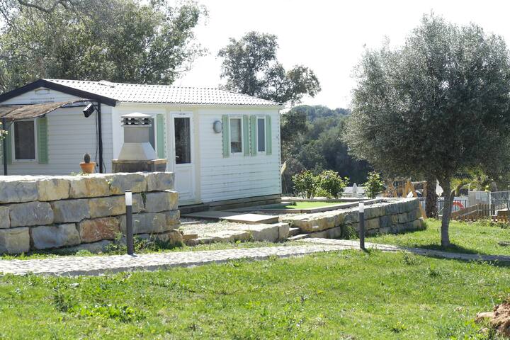 Casa da Fuzeta MobileHome 4* tout confort-AloeVera
