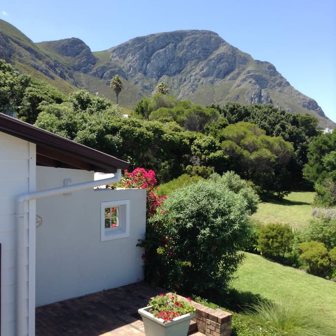 Mountain and garden views