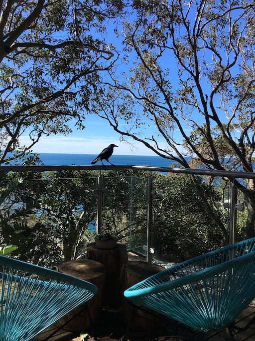 Magpie