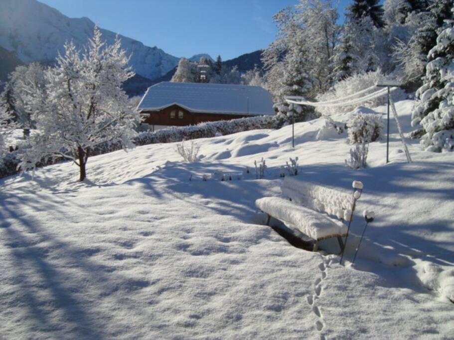 vue d'hiver