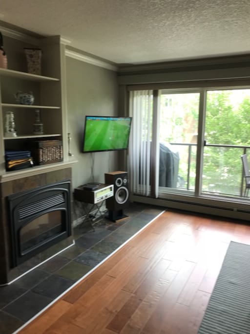 living room/fireplace/sound system/TV