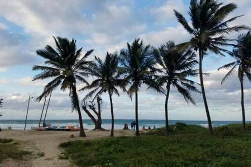 Bella zona de playa , a sólo pocos metros