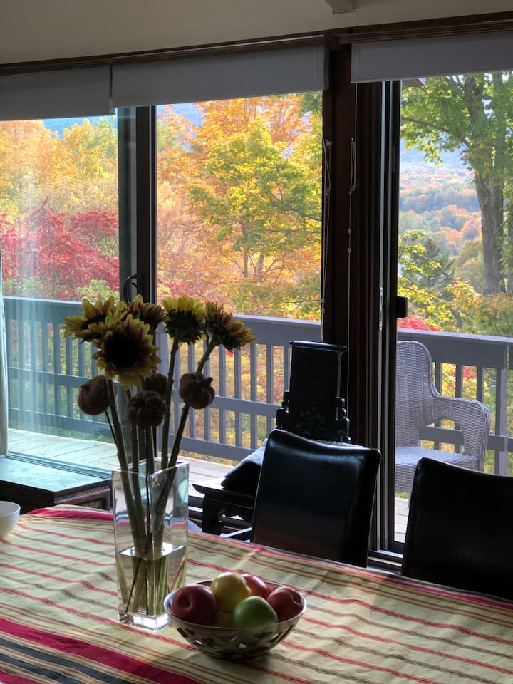 Our Home In Vt - Manchester Ctr Vt - 1 Month Min - Manchester, VT