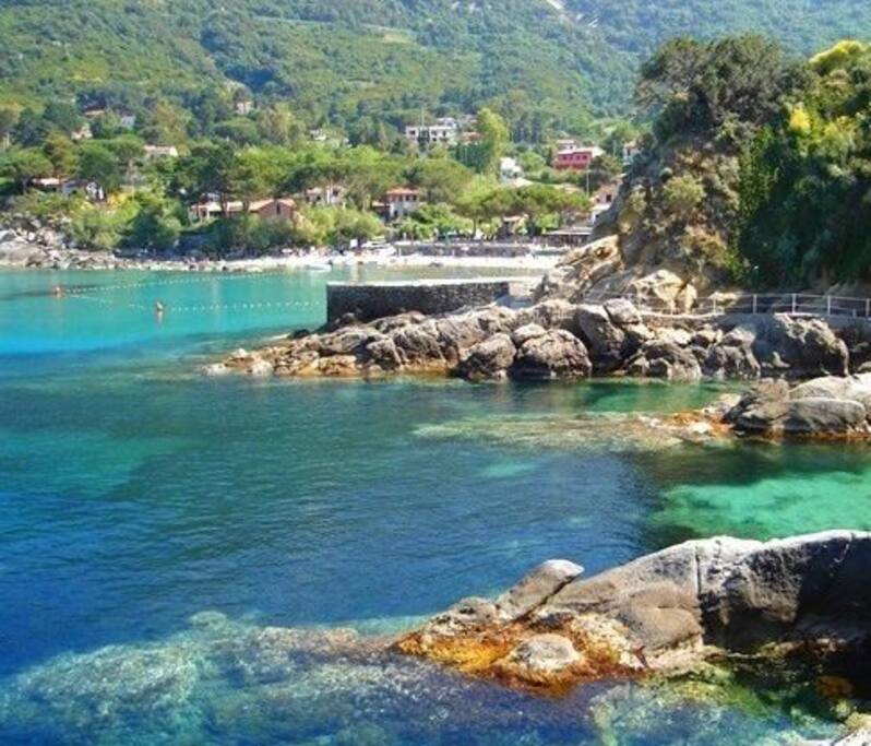 S.Andrea dalle "Cote Piane"