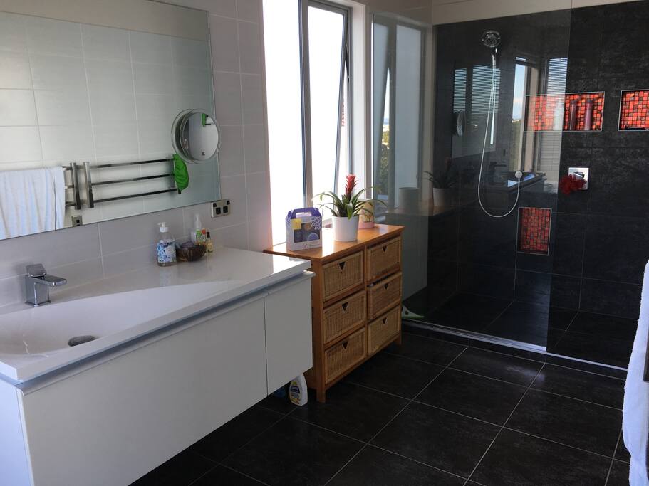 Bathroom with shower and bath.