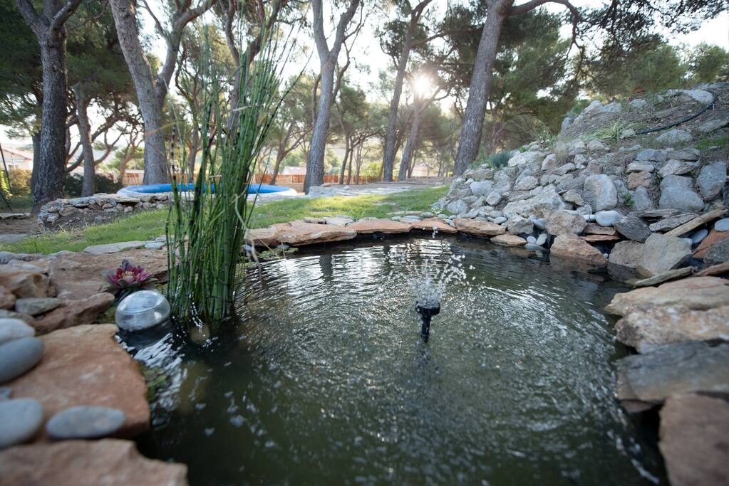le bassin