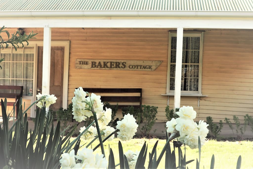 The Baker's Store