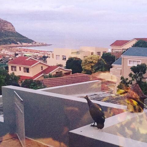 Owls View House gallery image 4