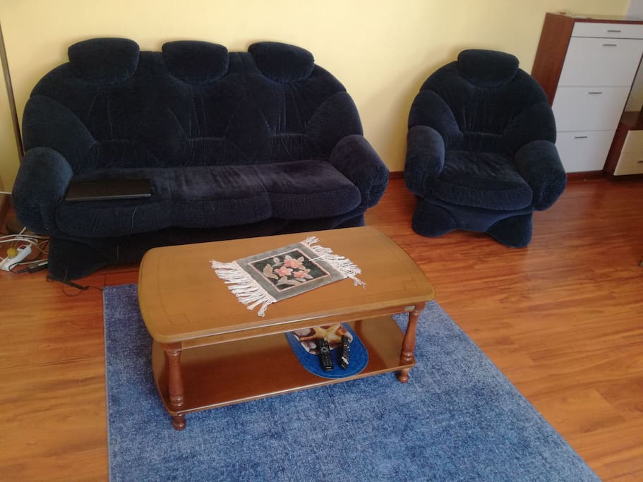 большая комната. диван кровать.
saloon with sofa bad.
salotto con divano letto.