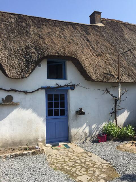The Puppet Cottage: Bergamot