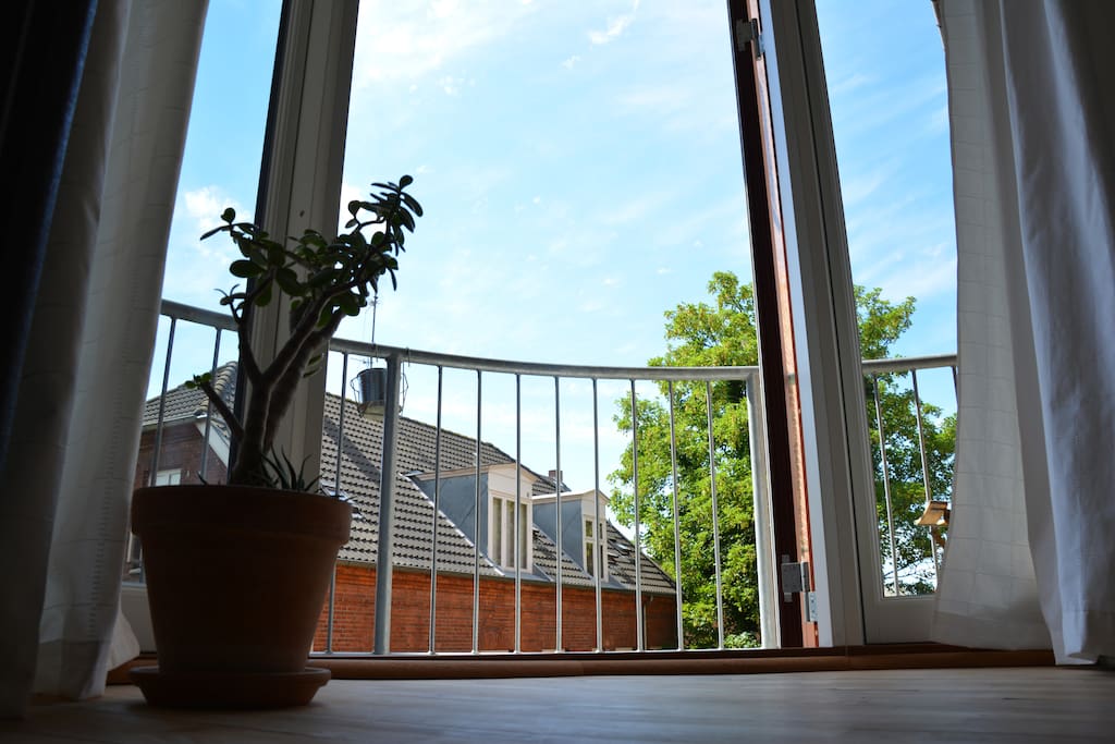 Balcony view from the living room
Sun's here from afternoon till evening