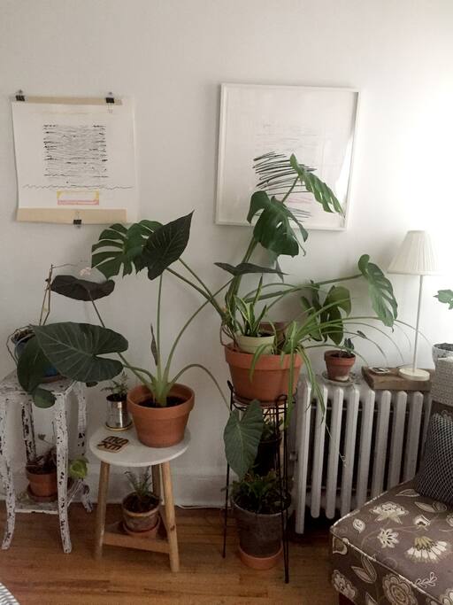 Just a bit of the garden
