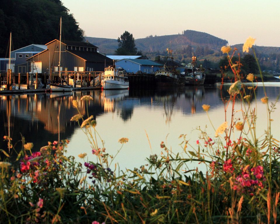 A tranquil river scene is captured at dawn, featuring a row of boats docked at a marina. Colorful wildflowers line the shoreline, contrasting with the calm, reflective water. The morning light softens the outlines of nearby buildings and distant hills, creating a serene atmosphere.