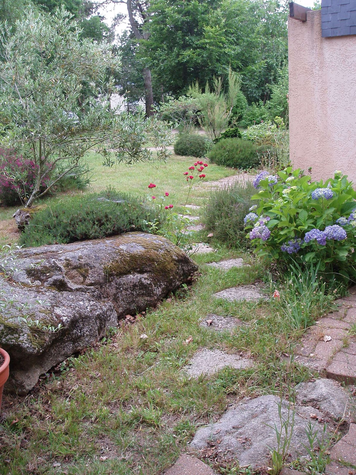 A stone pathway meanders through a lush garden, bordered by vibrant green shrubs and blooming flowers. Natural stones and a large moss-covered boulder create a rustic charm. The garden is well-maintained, showcasing diverse plant life in a serene, secluded setting.