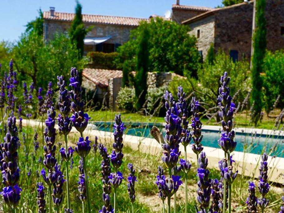 Piscine 12 x 4