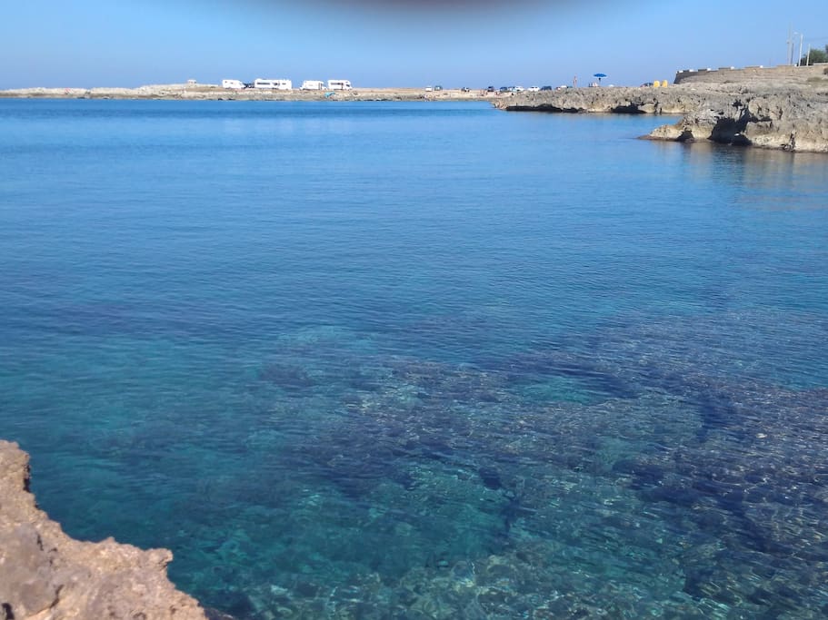 scogliera bassa antistante
