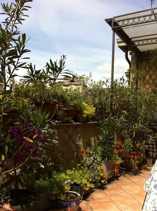 Relax among Oleander, Jasmin and Olive trees
above the roofs of Turin