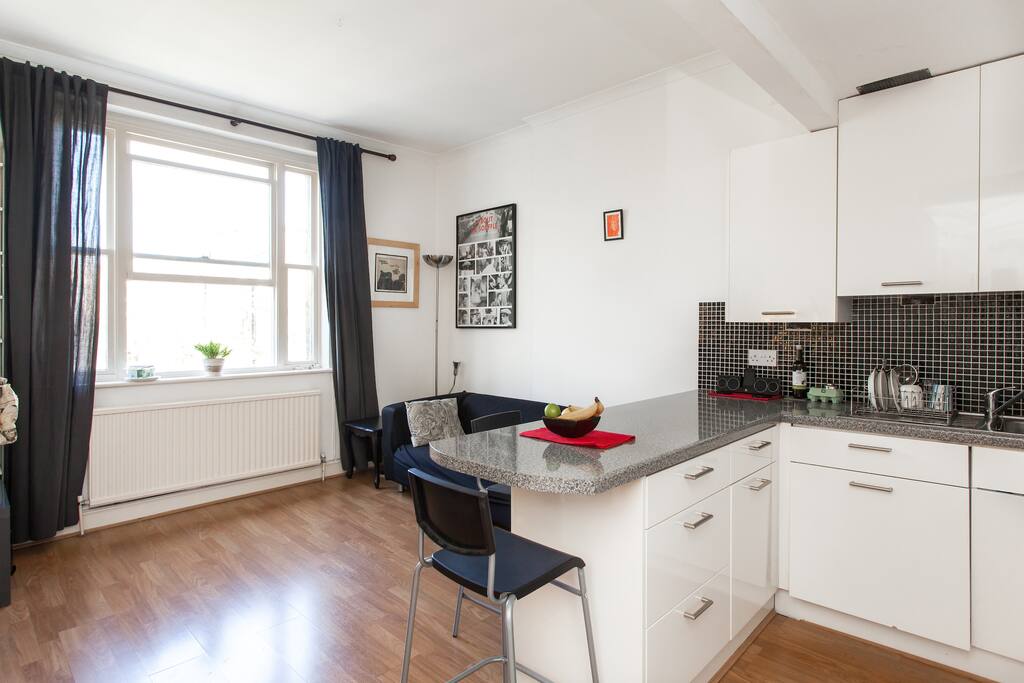 Bright Earls Court Apt Kensington Apartments for Rent in London