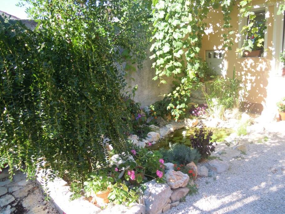 Yard