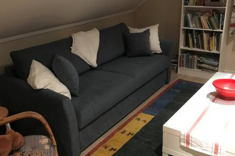 Top performing Airbnb: Lillahuset in Tanum