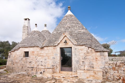 Trulli in Valle d' Itria with wonderful pool