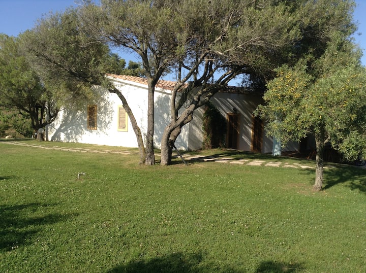 Appartamento Immerso Nel Verde - Arzachena
