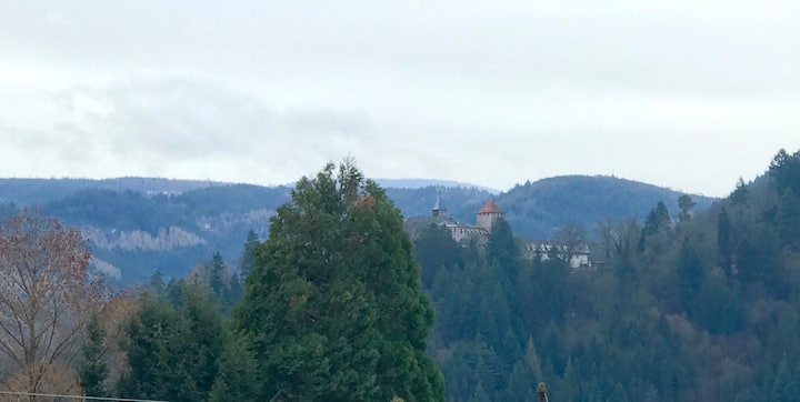 Castle view in heart of Black Forest