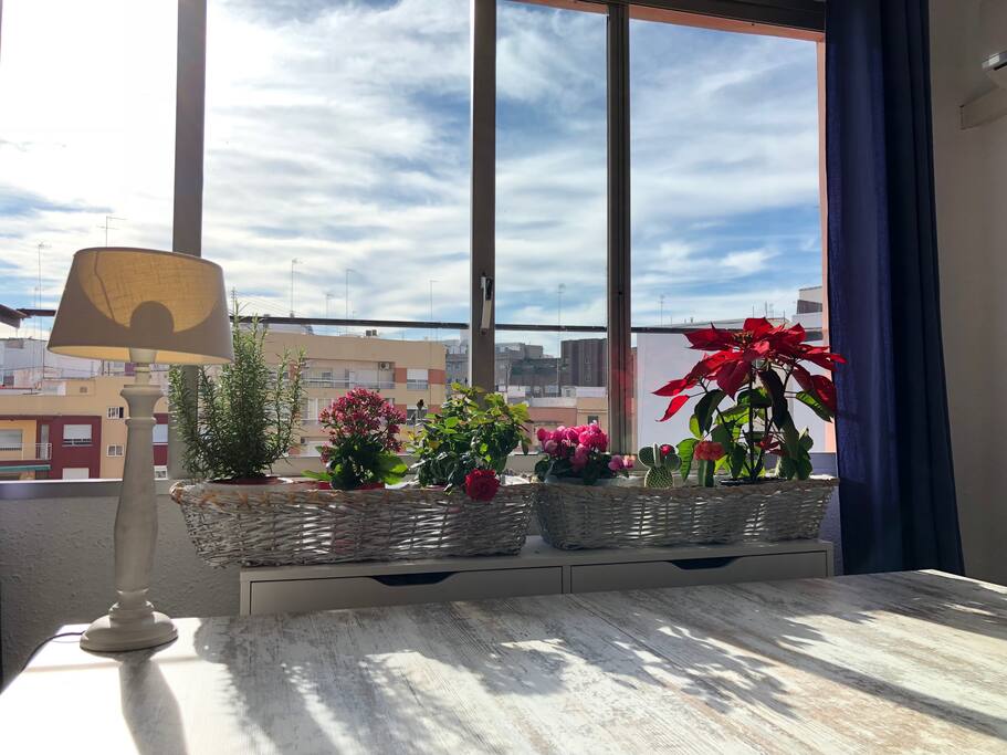 sunny living-room