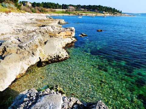 App Sea, 70m from beach