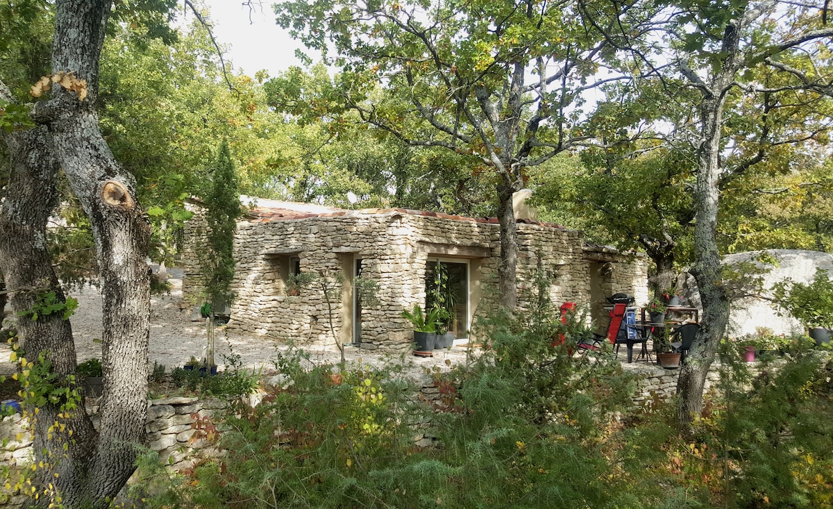 A rustic stone house is surrounded by mature trees, providing a natural, private setting. The exterior features a blend of stonework and earthy tones, with large glass doors allowing for views of the lush landscape. An outdoor seating area is visible near the entrance.