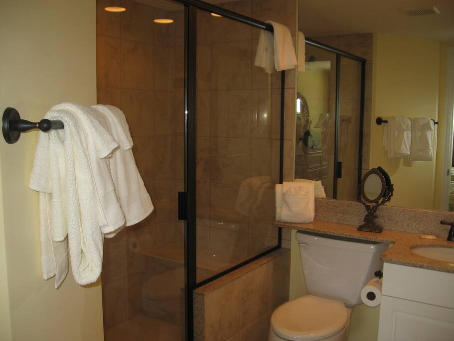 Large bathroom