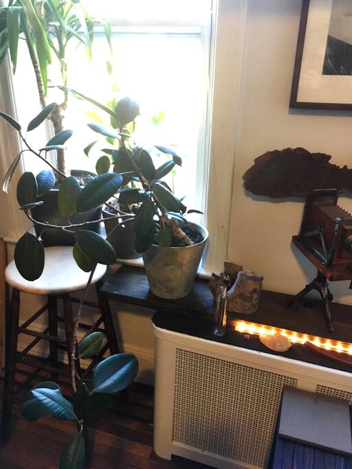 Close up of living room