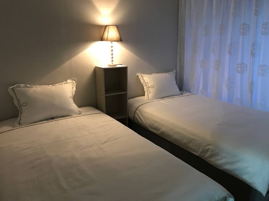 Second bedroom.. ( twin bed with closet)