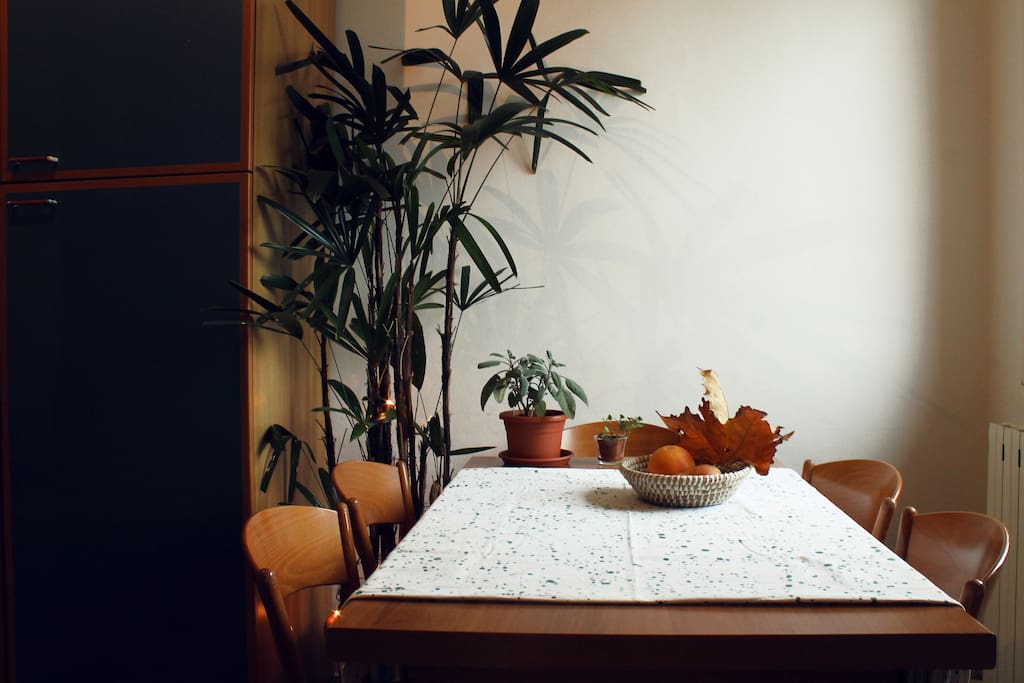 Kitchen table detail with plants