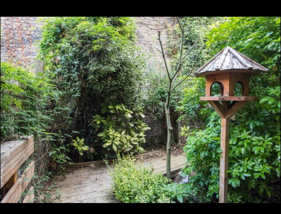 Amazing quiet rear garden