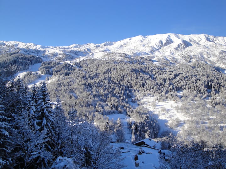 Appartement Familial Avec Vue - Méribel