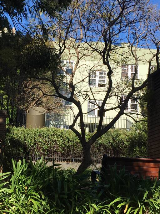 Street view through the park out the front