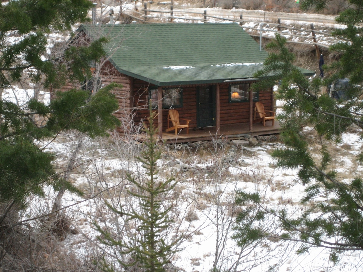 A rustic cabin with a green roof is nestled among snow-dusted grounds, partially visible through surrounding trees. Two Adirondack chairs are positioned on a covered porch, providing a cozy spot to enjoy the peaceful natural setting.