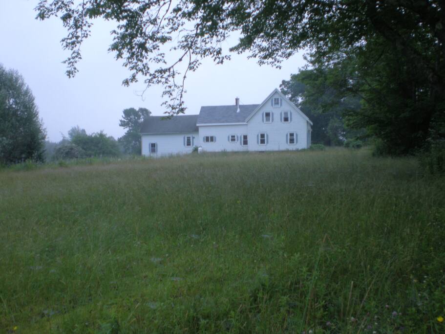 Coastal Farmhouse
& Iyengar Yoga Center