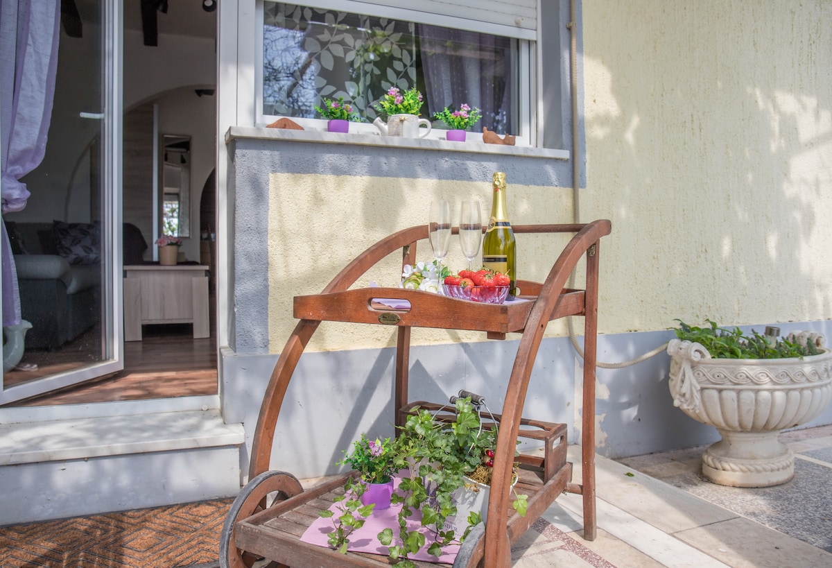 Apartman Buki-Geza · Apartment Buki-Geza