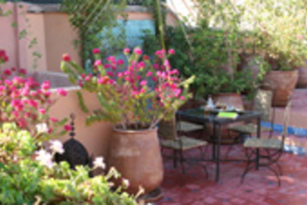terrasse